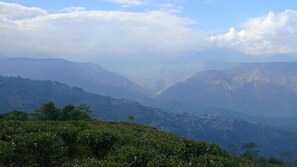 Miscellaneous - Backpackers Hostel (Darjeeling)