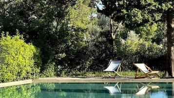 A swimming pool with two lounge chairs, surrounded by dense greenery and trees.