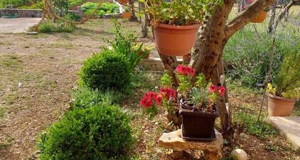 Cozy Countryside Apartment in Bristane