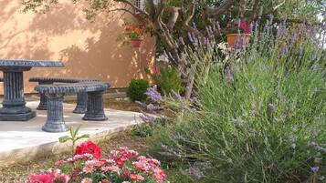 Apartment | Garden