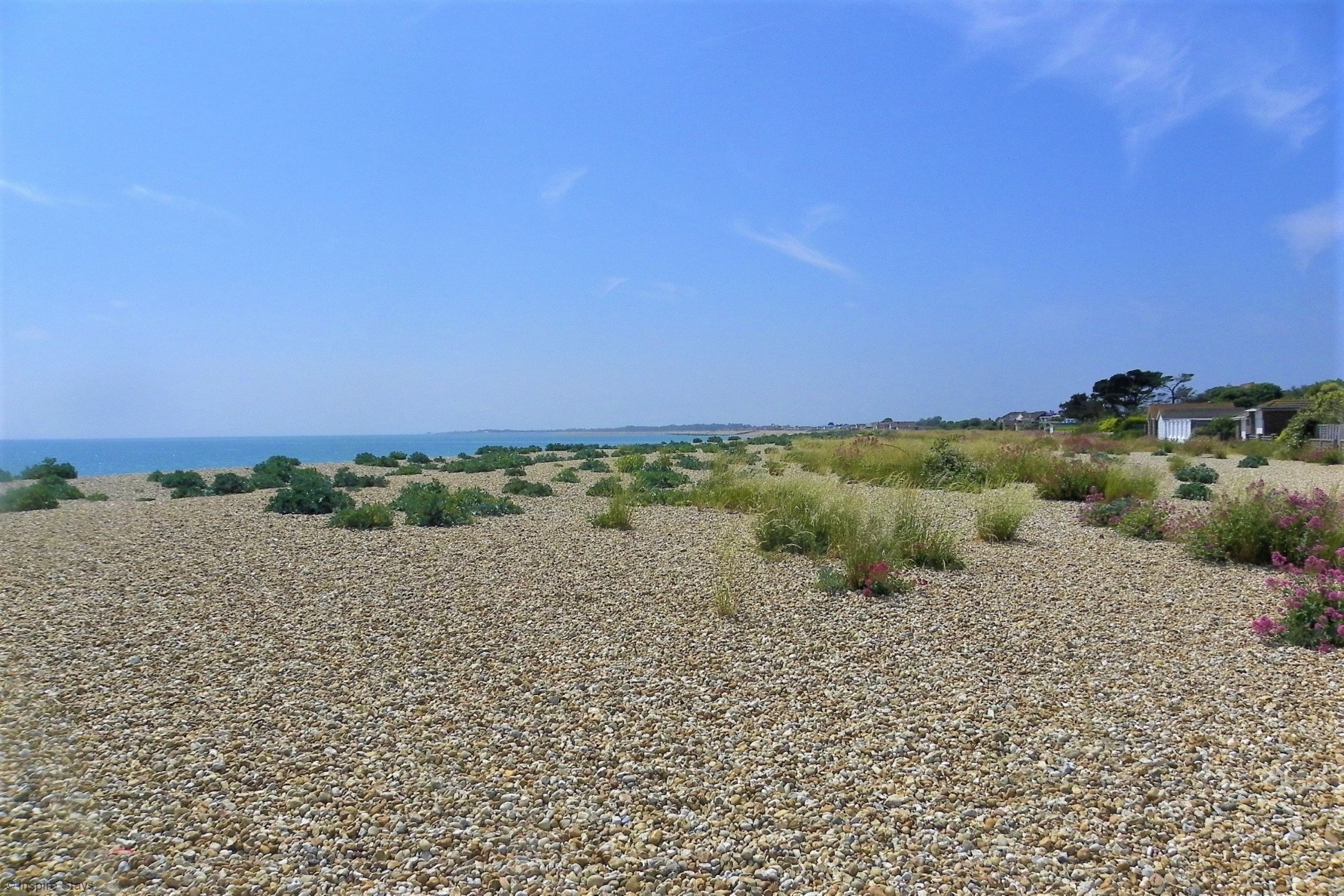 A pebbled beach with scattered vegetation and a distant view of the sea.