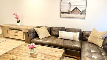 智能電視、壁爐