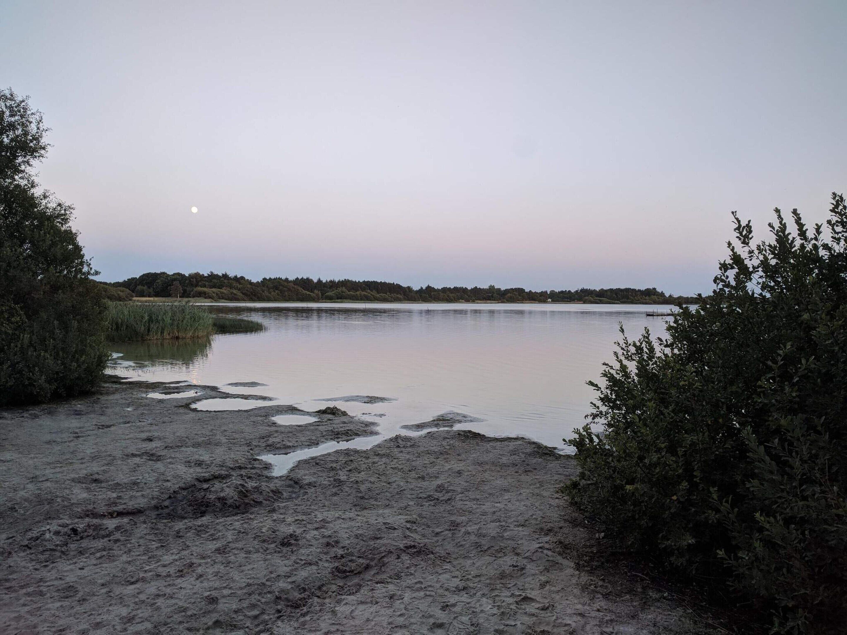A natural landscape with a body of water, sandy shore, and dense vegetation.
