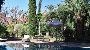 Une piscine d’un bleu éclatant, entourée de palmiers et de chaises longues.