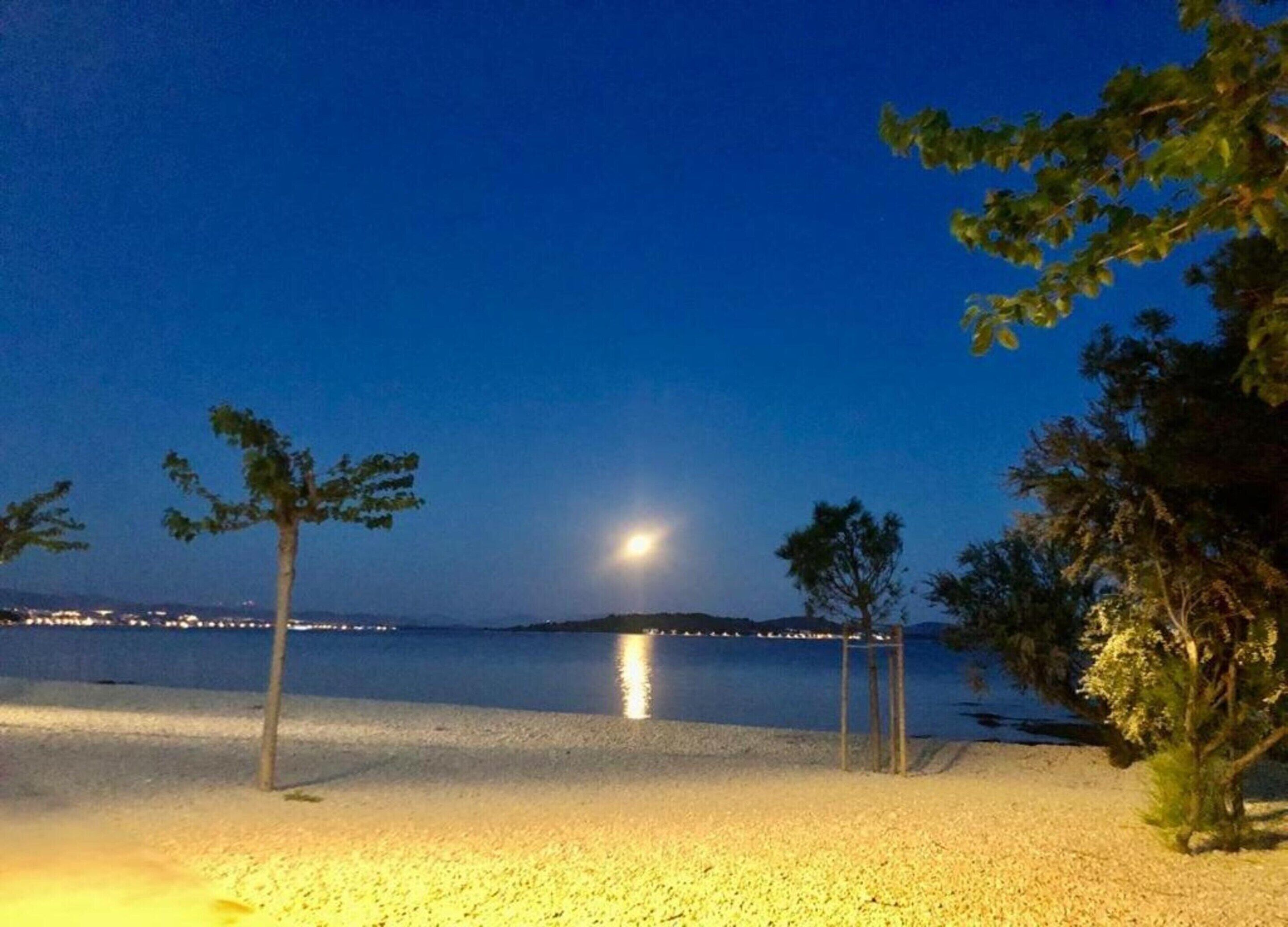 A beach at night with a visible moon, trees, and a distant cityscape.