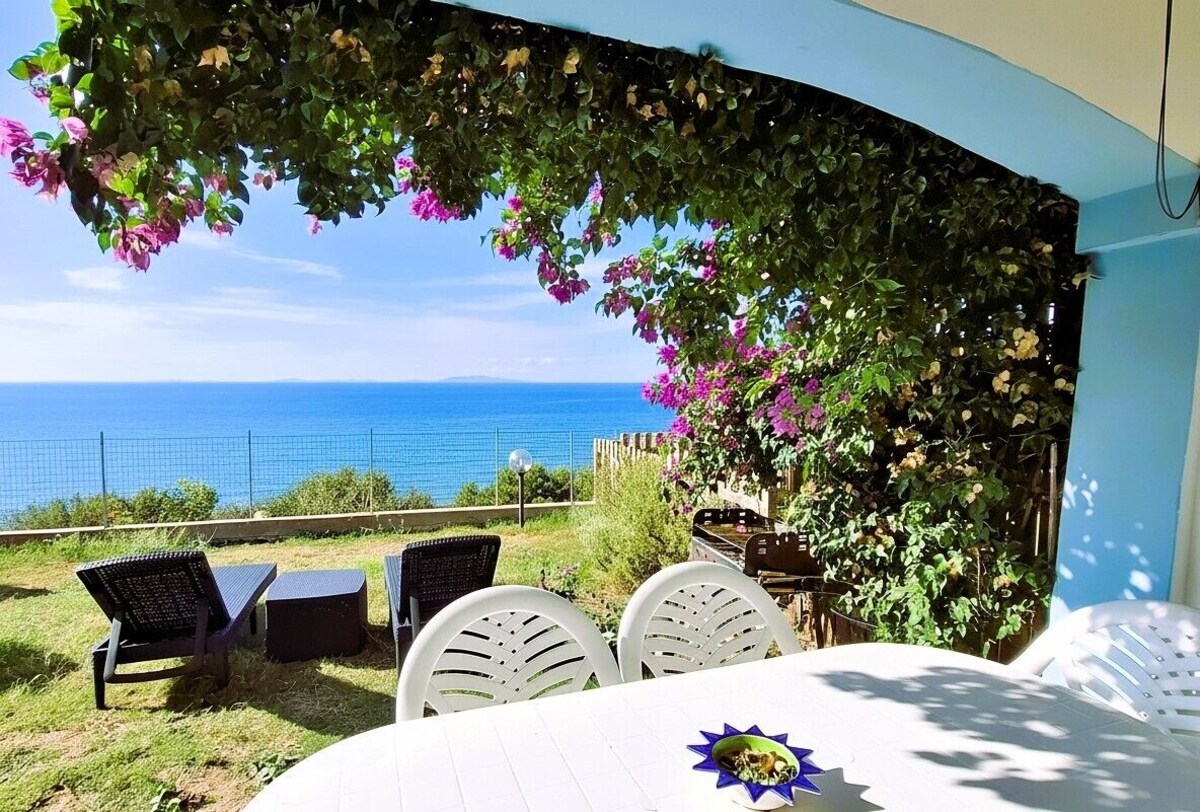 Imagen de perfil del propietario o de la propietaria