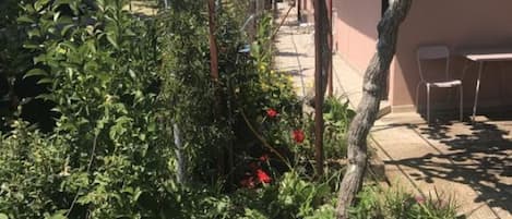 Estúdio (Studio With Garden View) | Fachada