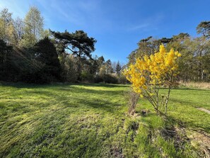 Property grounds - Apartment, forest area, lake/sea, golf and shopping centers (Askim)