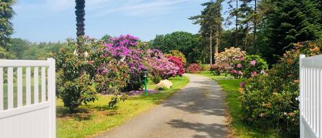 Jardines del alojamiento
