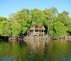 A wooden structure with a thatched roof surrounded by dense green foliage and trees, situated over water.