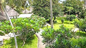 Un exuberante jardín con palmeras, plantas de plátano y una estructura de techo de paja.