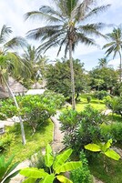A lush garden with palm trees, banana plants, and a thatched-roof structure.
