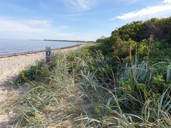 Hus | Strand