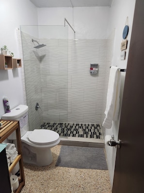 Regadera, toallas, jabón, papel de baño
