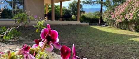 A garden with pink flowers in the foreground, a covered patio area, and a view of trees and mountains in the background.
