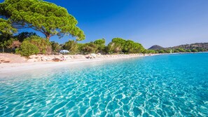 Une plage à l’eau turquoise et limpide, bordée d’un rivage sablonneux et d’arbres verdoyants.