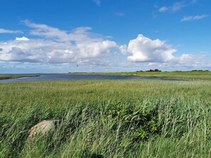 House | Miscellaneous