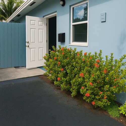 Charming 1-bedroom apartment with AC, WIFI in amazing Palm Beach next to Airport