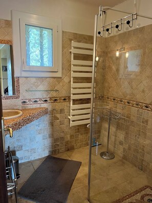 Shower, hair dryer, towels