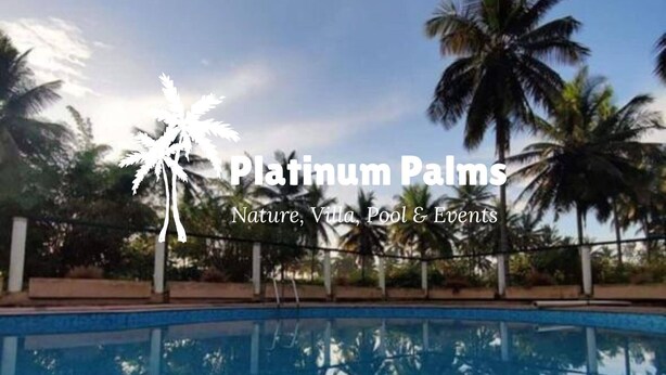 Ein Pool mit Palmen im Hintergrund.