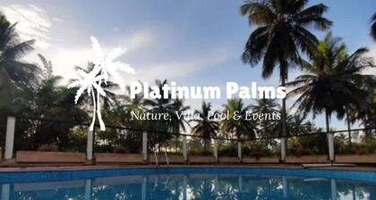 Platinum Palms Villa With Pool