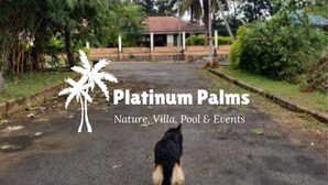 A pathway leading to a villa with a pool and palm trees.
