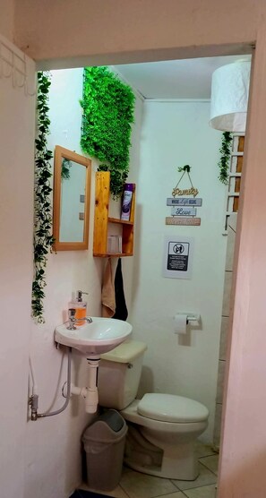 Dusche, Handtücher, Toilettenpapier