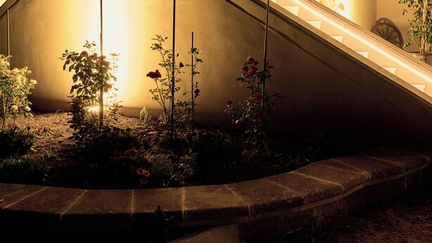 Un edificio con una escalera que lleva a un balcón, rodeado de un jardín con plantas y flores.