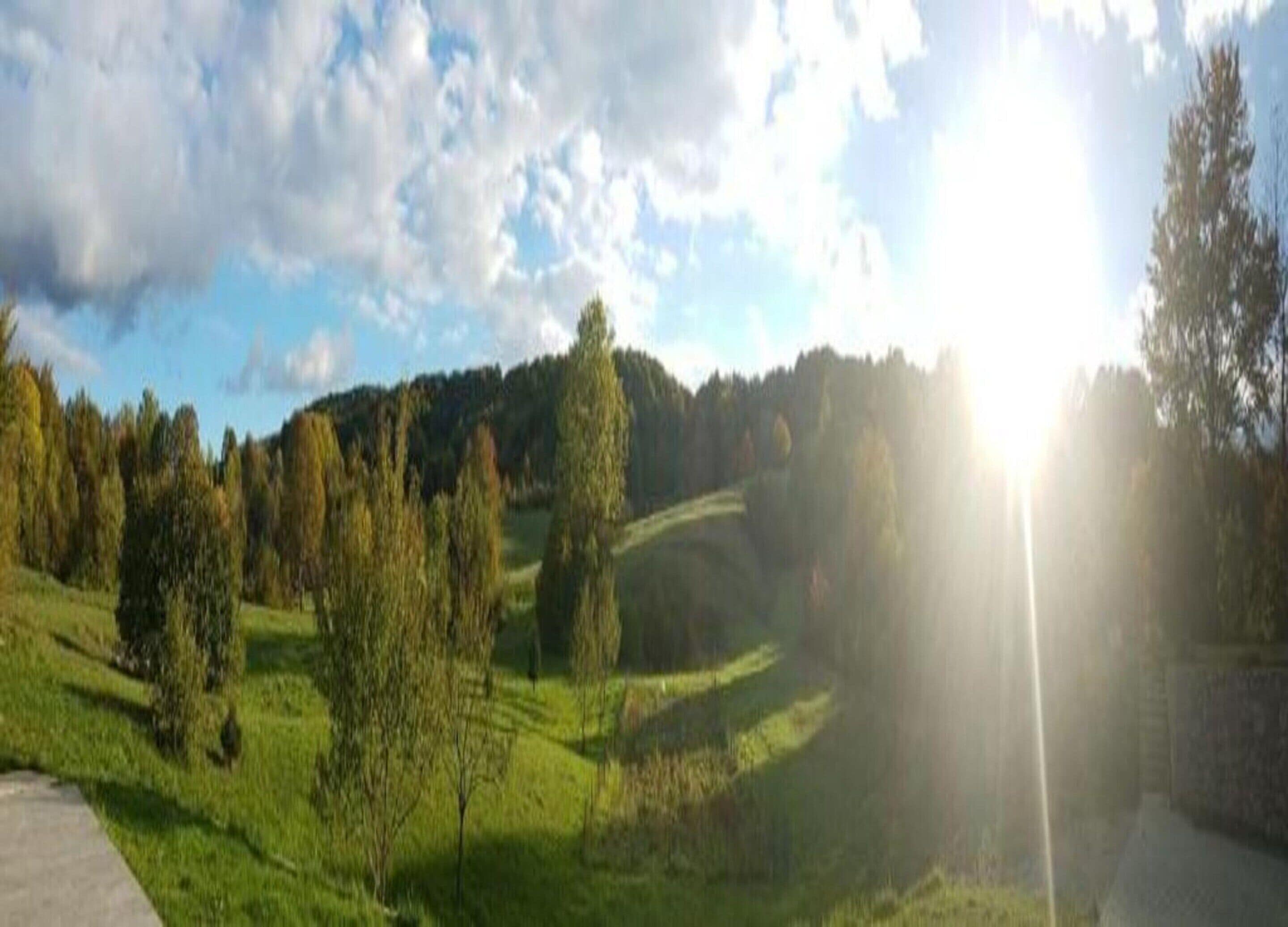 A rural landscape with rolling hills, trees, and a clear sky.