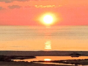 House | Beach - 5 Star Holiday Home in Albaek (Aalbaek)