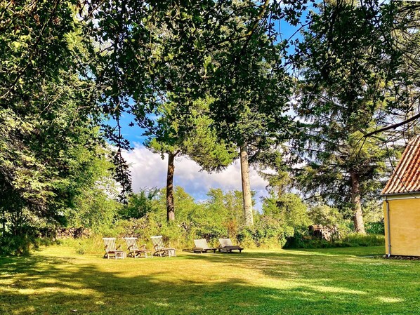 House | Exterior - 5 Star Holiday Home in Albaek (Aalbaek)