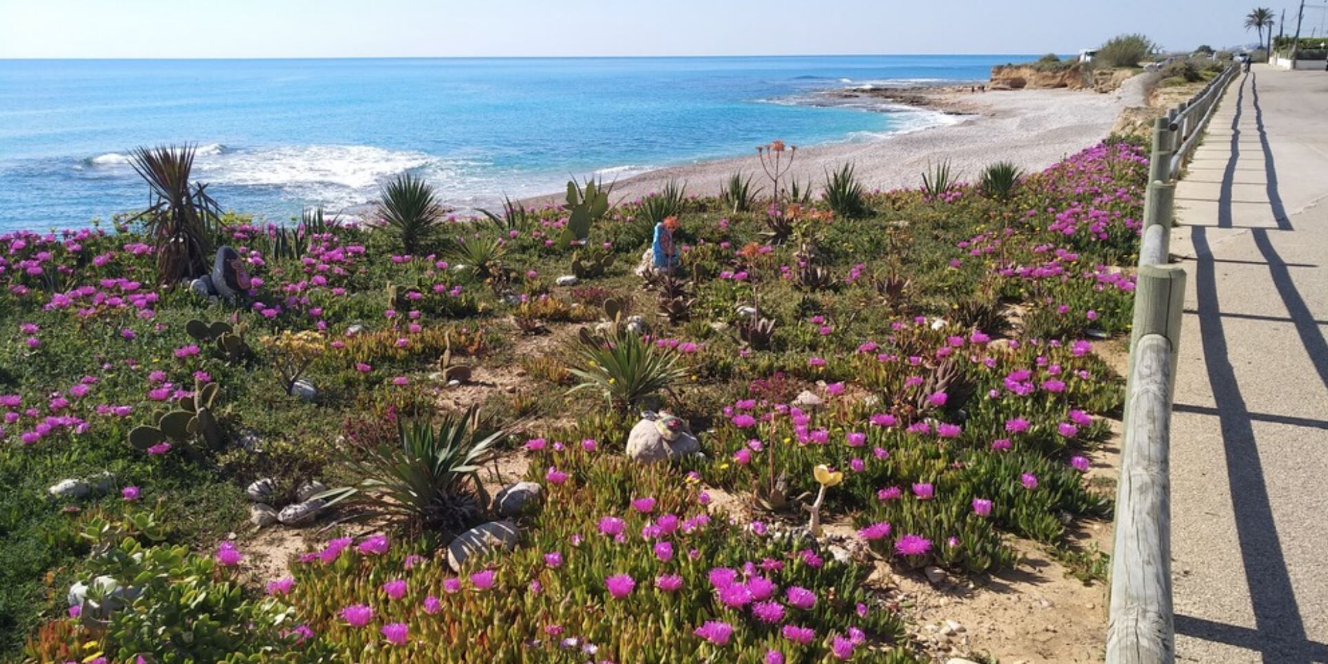 Perto da praia, toalhas de praia 