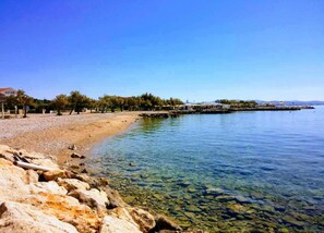 Apartament | Vista des de l'allotjament