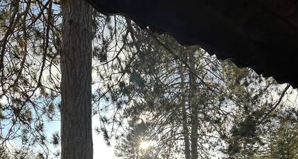 3-bedroom lake front cabin on Chippewa Flowage -Dun Rovin Road - Hayward, WI