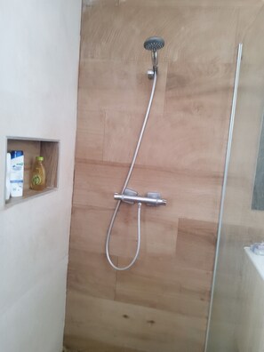 Shower, towels, soap, toilet paper