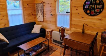 Charming cabin with WiFi and AC in scenic Shandaken