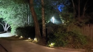Une scène nocturne avec un chemin pavé, des arbres et des lampadaires.