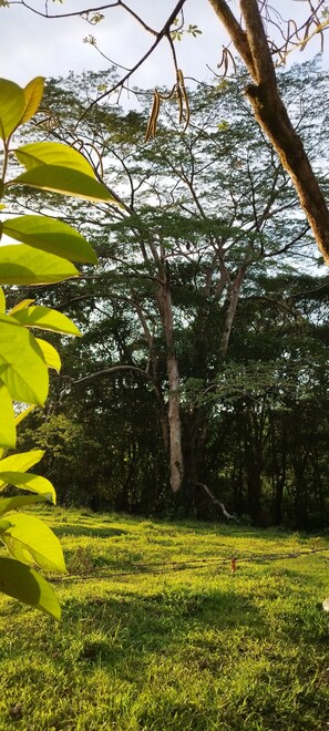 Utsikt mot landet från boendet