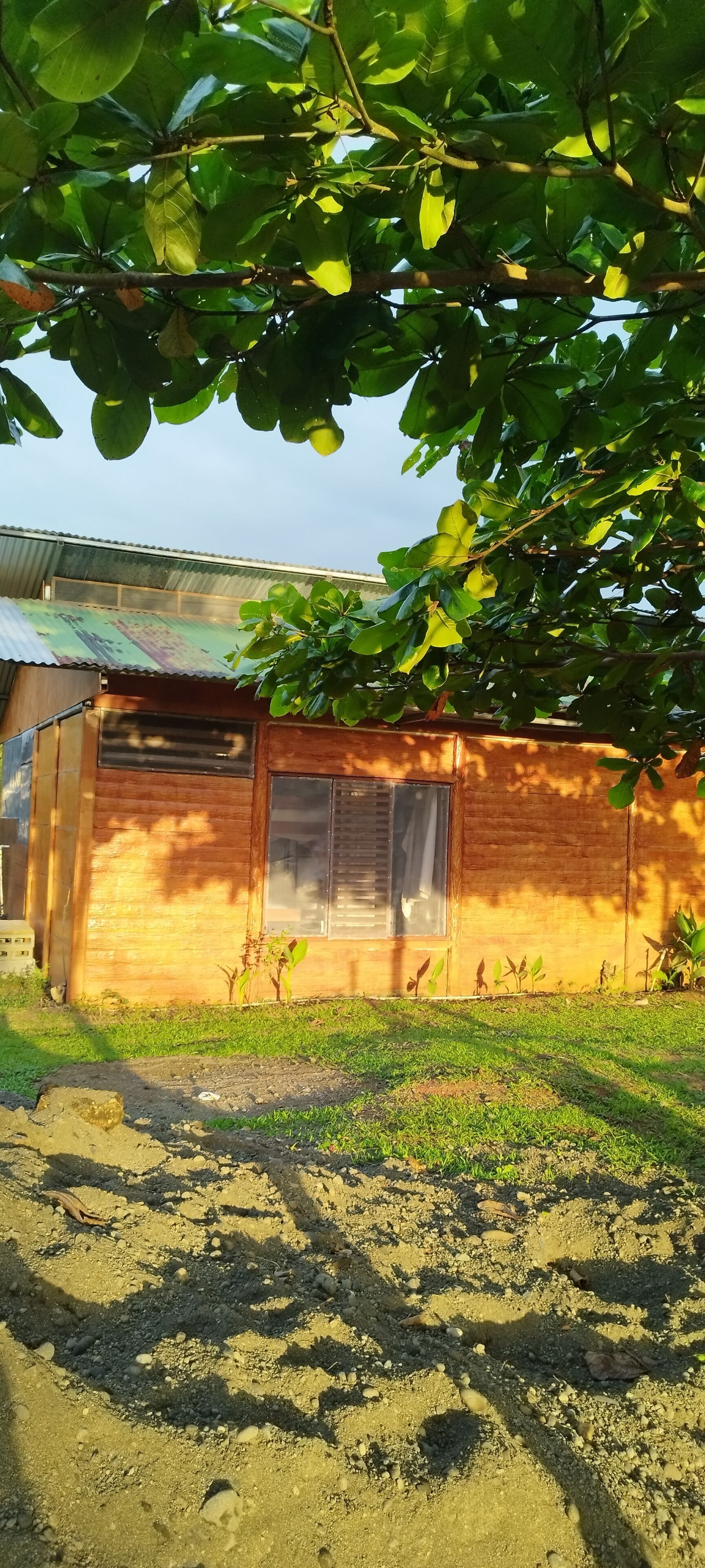 Un pequeño edificio de ladrillo con una ventana y una puerta, rodeado de follaje y un sendero de tierra.