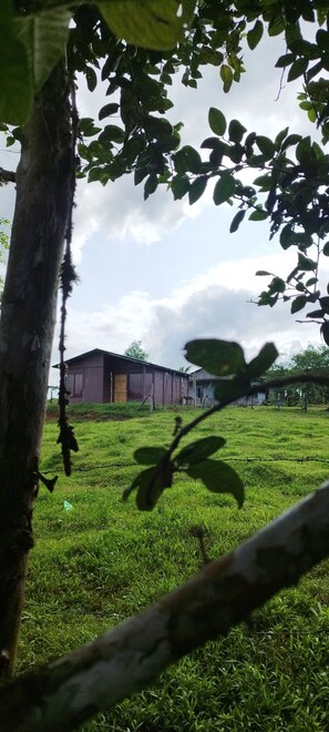 Front of property - Boca Tapada Inn (Pital)