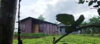 Boca Tapada Rainforest