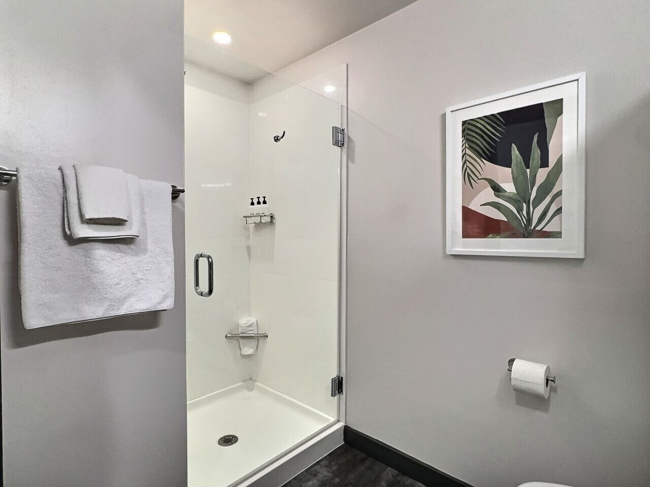Hair dryer, towels
