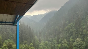 Habitació doble, vistes a la muntanya | Balcó