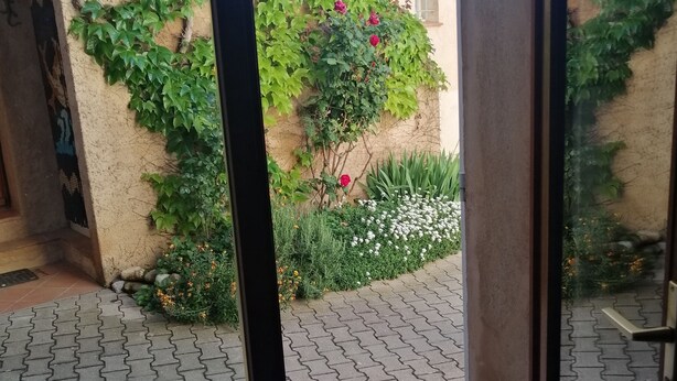 Een binnentuin met betegelde vloer, een muur begroeid met klimplanten, en een klein tuintje met bloemen en struiken.