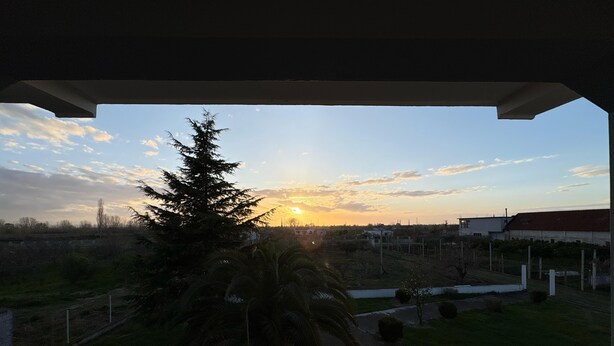 Un balcón con vistas a un atardecer, un árbol y una zona verde.