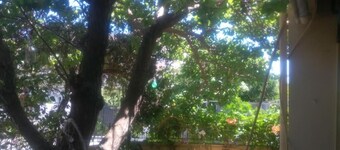 House in Vrontados Chios Sleeps 7-9