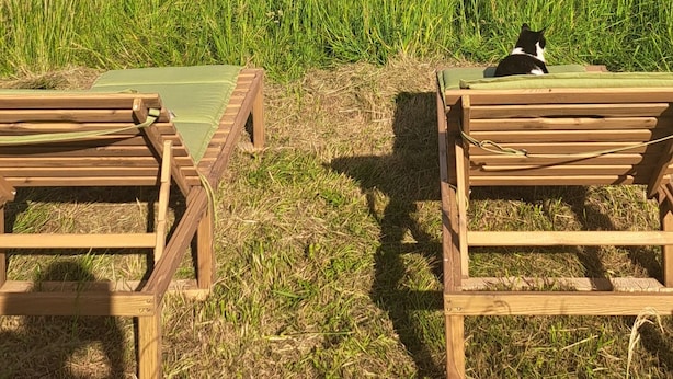 Dos sillones de madera en un campo con césped y vistas a colinas distantes bajo un cielo parcialmente nublado.