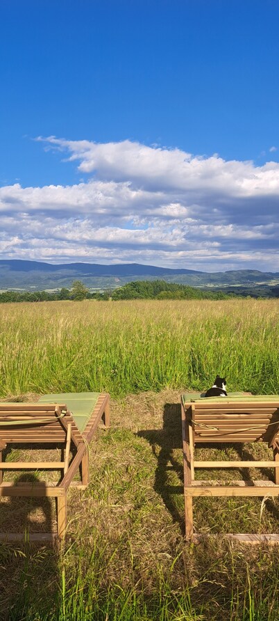 Zarembianka Guest House is green, quiet and surrounded by nature.