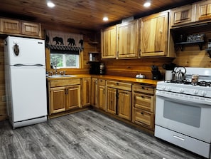 Fridge, oven, stovetop, coffee/tea maker