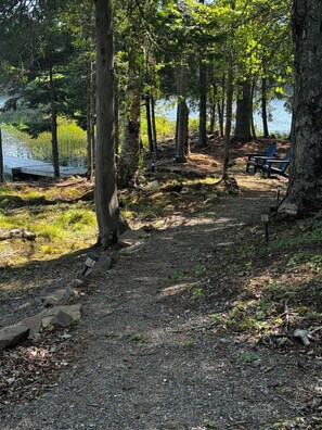 Property grounds - Blueberry Hill Lakeside Retreat. Family/pet friendly. (Robbinston)